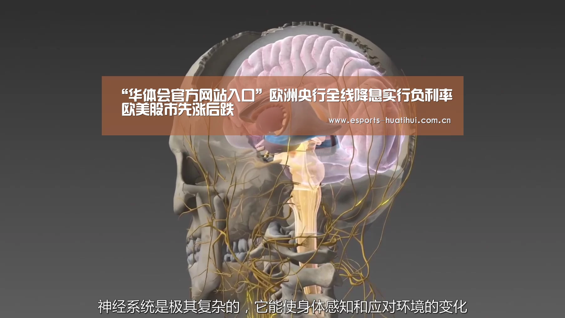 “华体会官方网站入口”欧洲央行全线降息实行负利率 欧美股市先涨后跌(图3) 华体会体育app下载