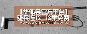 【华体会官方平台】雄兵连12-13集免费哪里看?超神学院雄兵连雄芯篇回归(图2) 华体会体育app下载