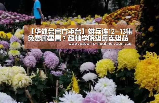 【华体会官方平台】雄兵连12-13集免费哪里看?超神学院雄兵连雄芯篇回归(图4) 华体会官方平台