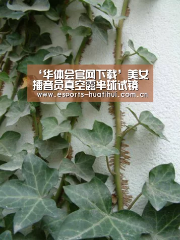 ‘华体会官网下载’美女播音员真空露半球试镜被录取 老板:印象深刻(图2) 华体会官方网站入口