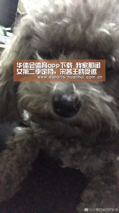 华体会官方平台