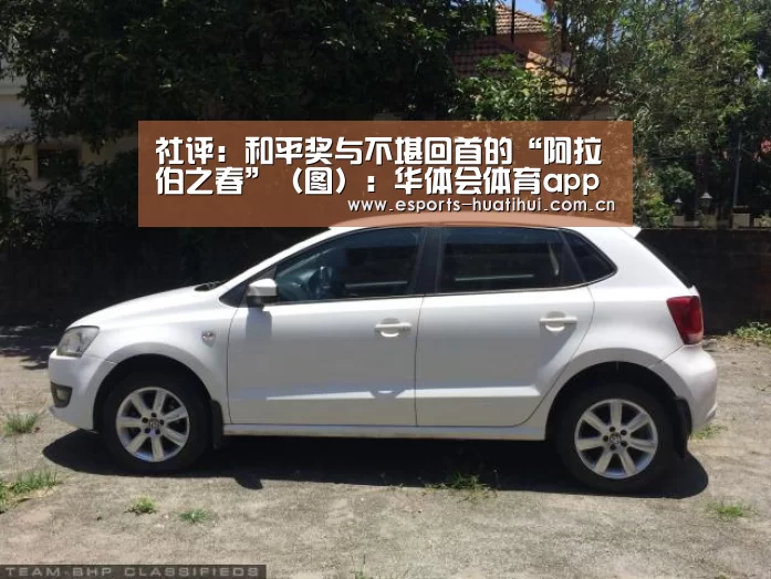 社评:和平奖与不堪回首的“阿拉伯之春”(图):华体会体育app下载(图2) 华体会官方网站入口