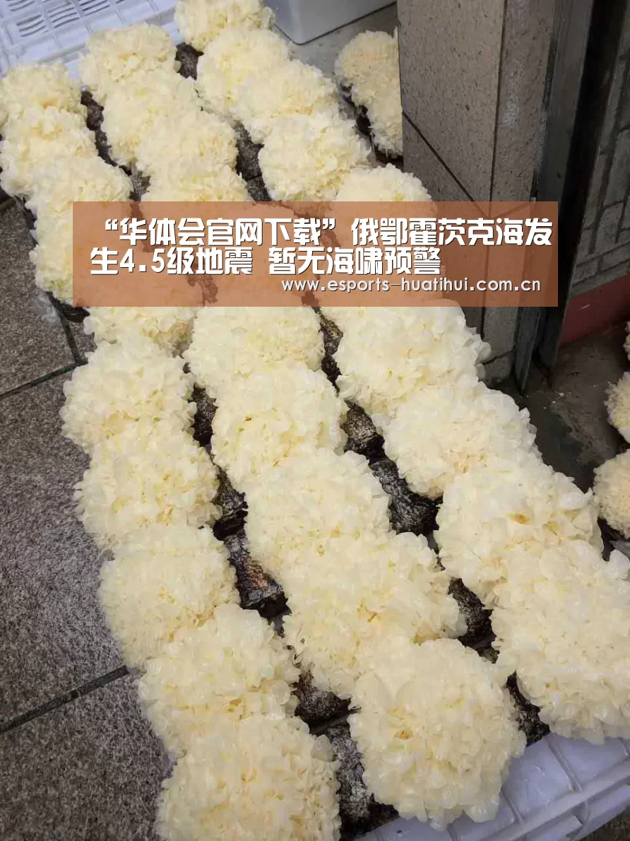 “华体会官网下载”俄鄂霍茨克海发生4.5级地震 暂无海啸预警(图4) 华体会官方平台