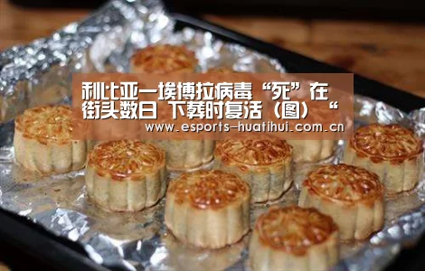 华体会体育app下载